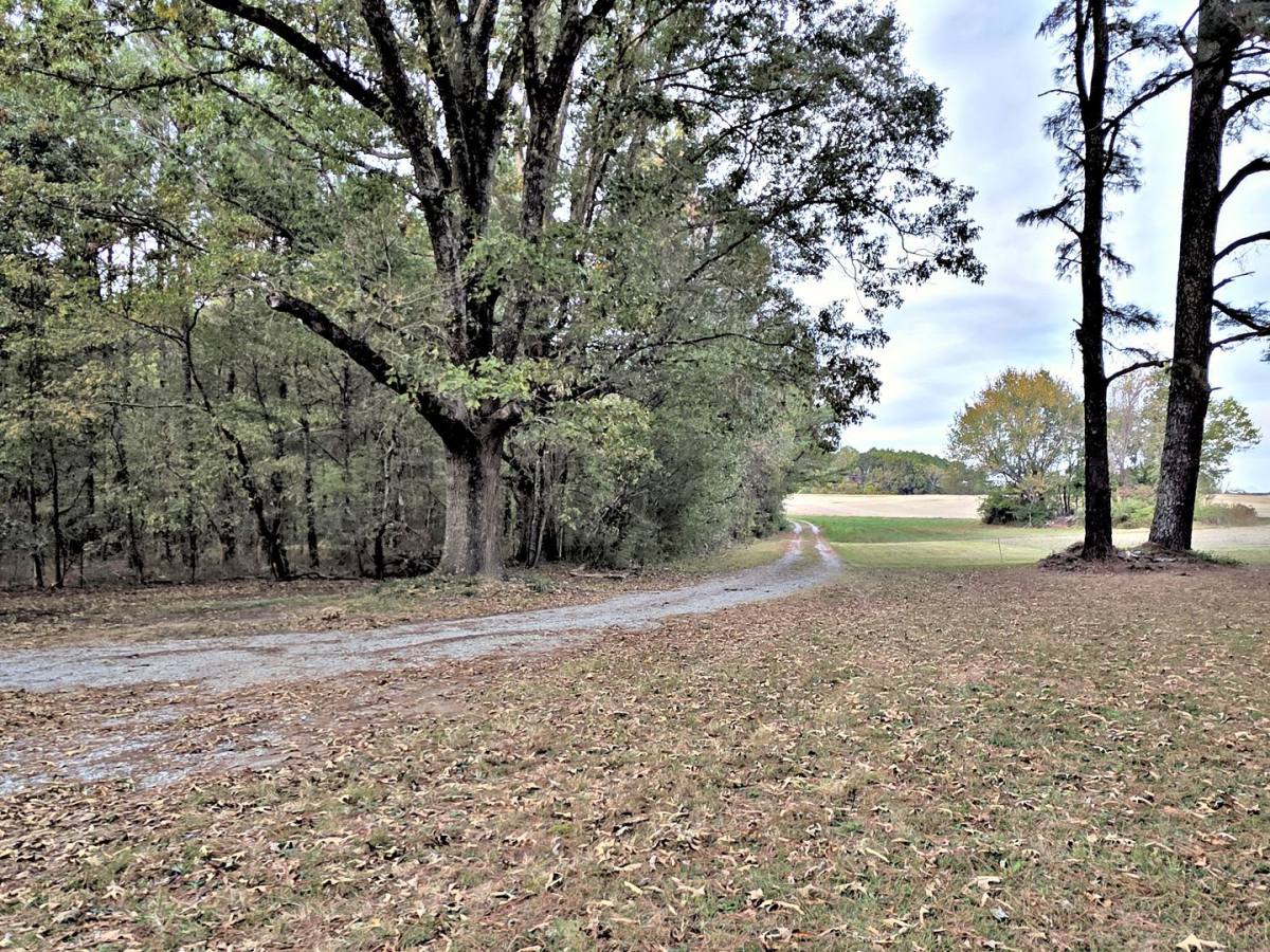 26268 Copeland Rd, Athens, AL 35613 - House for Rent - Image 4