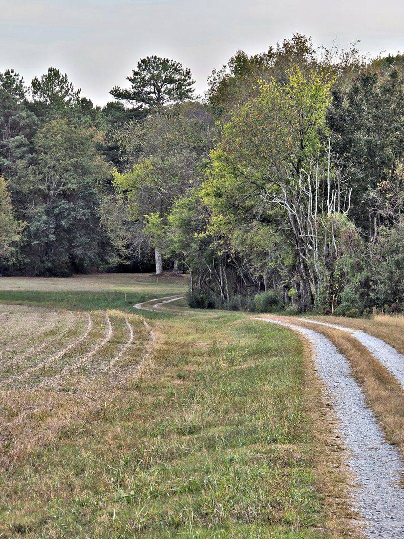 26268 Copeland Rd, Athens, AL 35613 - House for Rent - Image 3