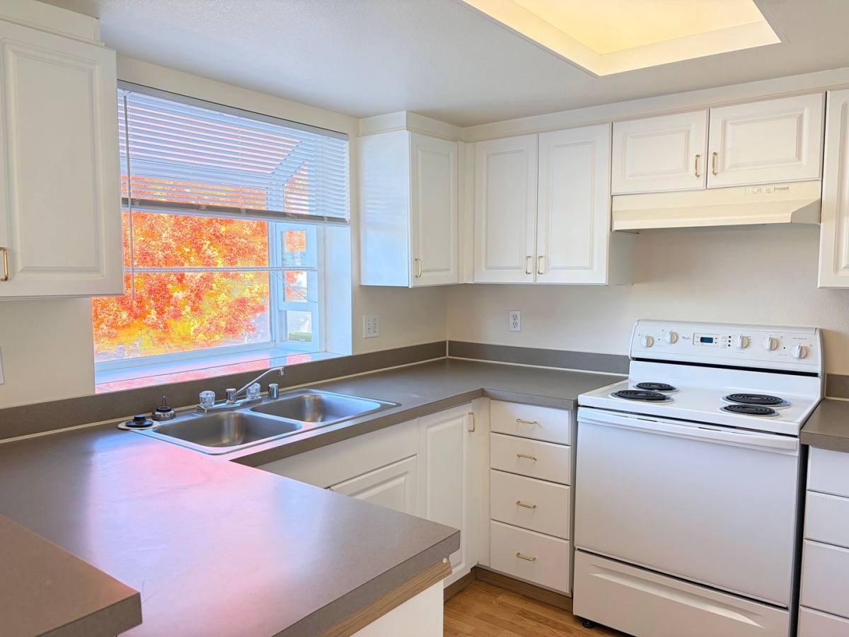 1022 10th Ave SE #P3, Puyallup, WA 98372 - Apartment for Rent - Image 5