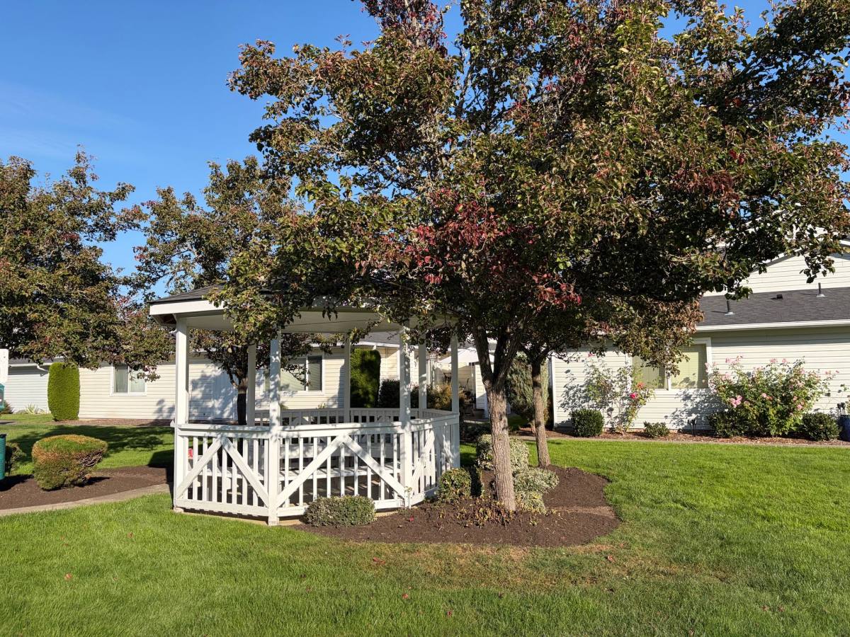 Apartment for rent at 1022 10th Ave SE #P3, Puyallup, WA 98372