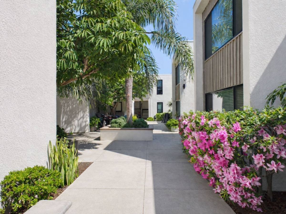 Drift Pb, 1727 Chalcedony St, San Diego, CA 92109 - Apartment for Rent - Image 5