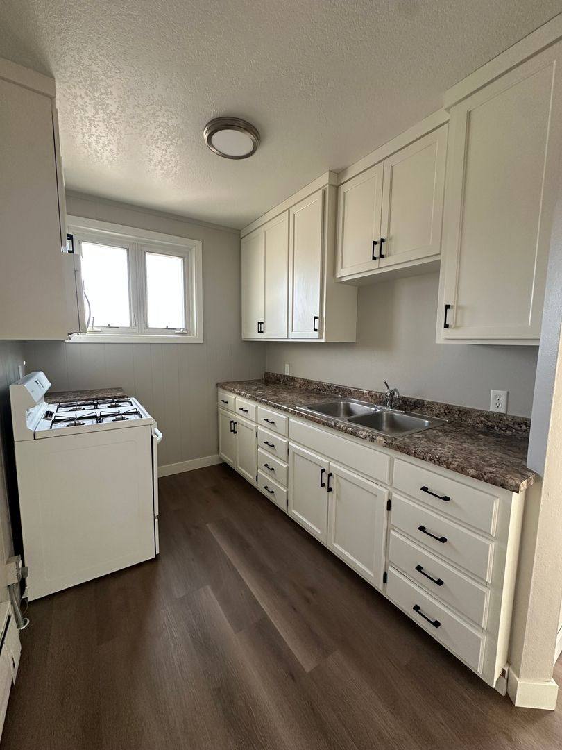 215-217 S Minnesota Ave, St. Peter, MN 56082 - Apartment for Rent