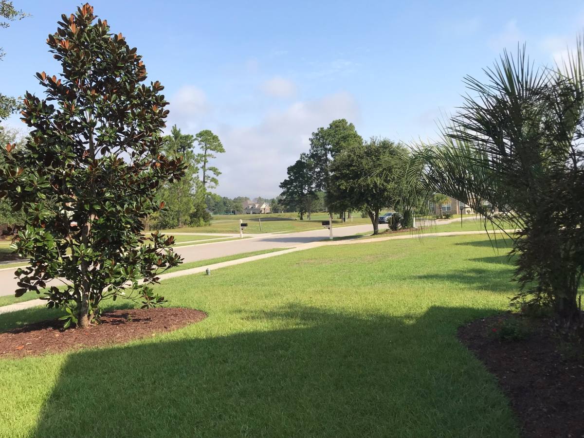 1004 Gallinule Dr, Conway, SC 29526 - House for Rent - Image 8
