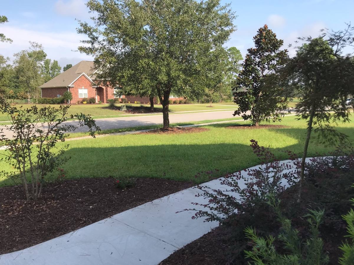 1004 Gallinule Dr, Conway, SC 29526 - House for Rent - Image 7