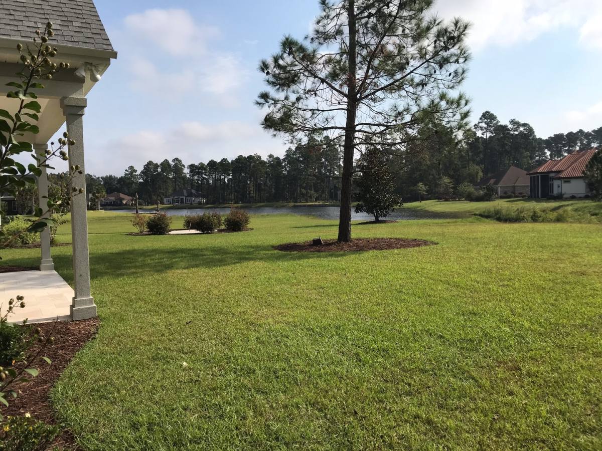 1004 Gallinule Dr, Conway, SC 29526 - House for Rent - Image 6