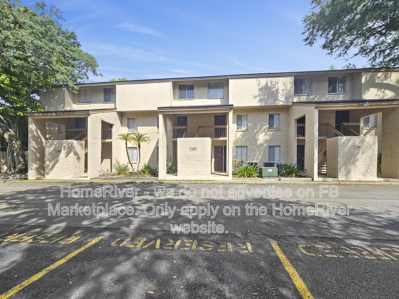7509 Pitch Pine Circle #C, Tampa, FL 33617 - Apartment for Rent - Image 2