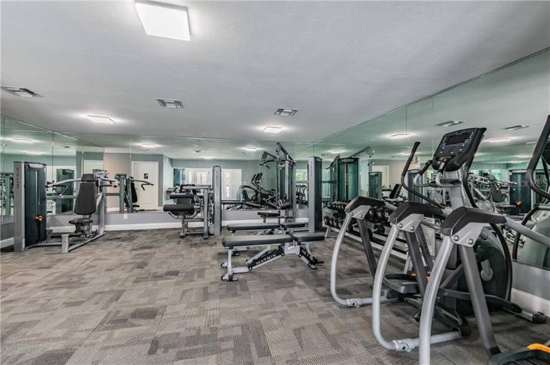 115 S Lois Ave #116, Tampa, FL 33609 - Apartment for Rent - Image 3