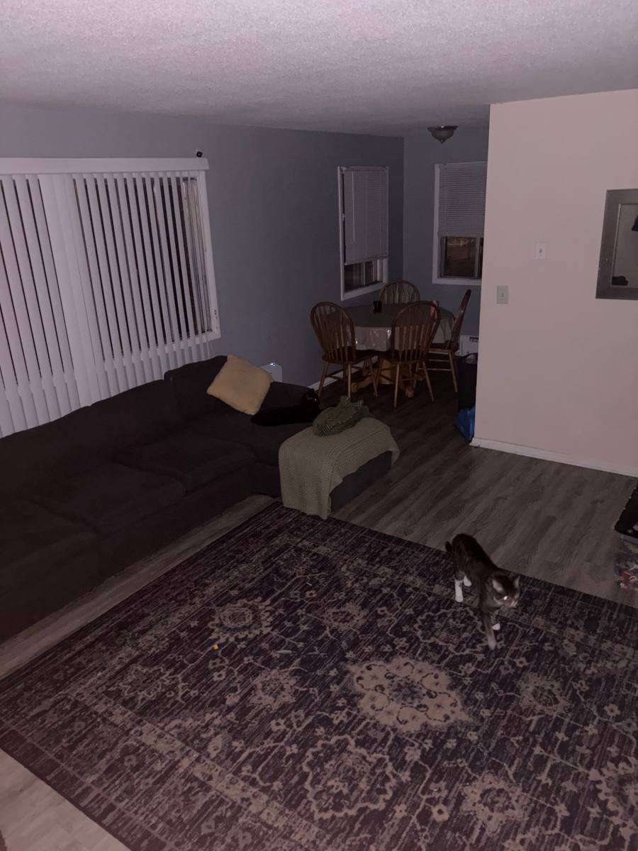 Apartment for rent at 280 Winifred St W #3, St. Paul, MN 55107