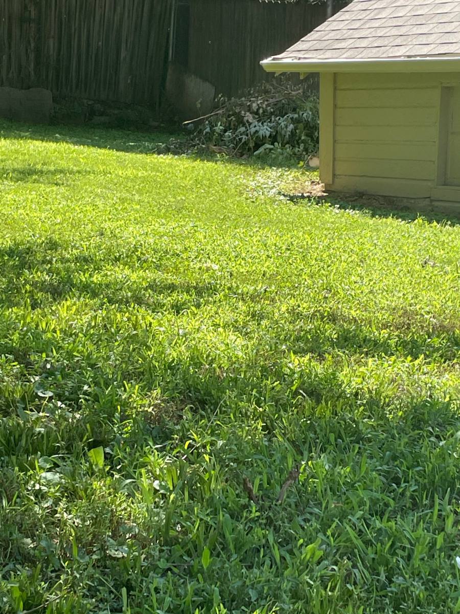 3603 N 60 St, Omaha, NE 68104 - House for Rent - Image 4