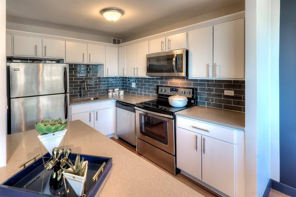 904 S Michigan Ave #2905, Chicago, IL 60605 - Apartment for Rent - Image 1