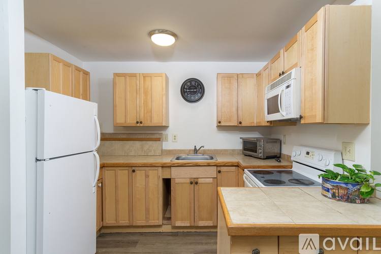 1120 Montreat Rd #B, Black Mountain, NC 28711 - Apartment for Rent - Image 7