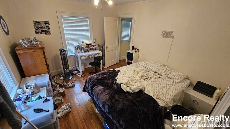52 Greylock Rd, Allston, MA 02134 - Apartment for Rent - Image 5