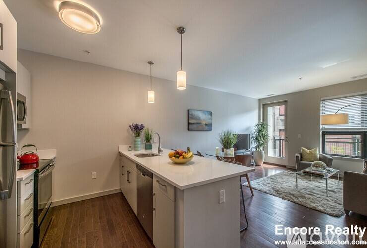 45 Marion St #511, Brookline, MA 02446 - Apartment for Rent - Image 1