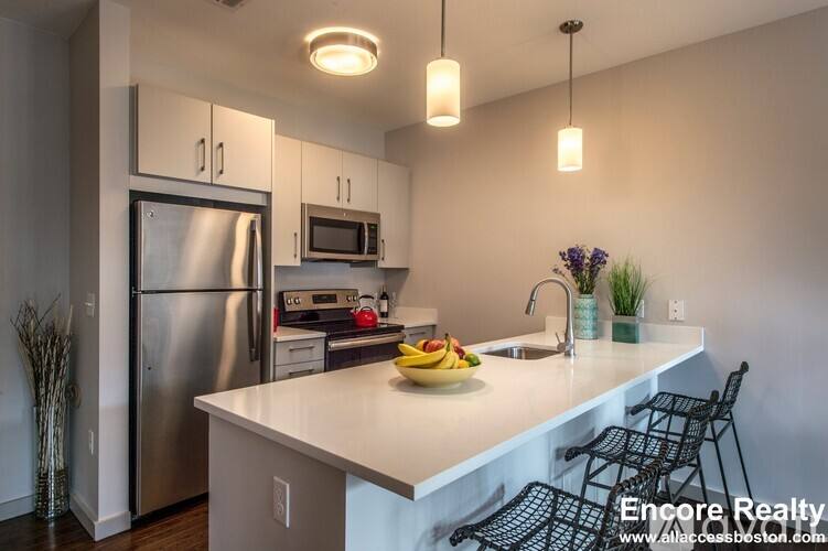 45 Marion St #511, Brookline, MA 02446 - Apartment for Rent - Image 3