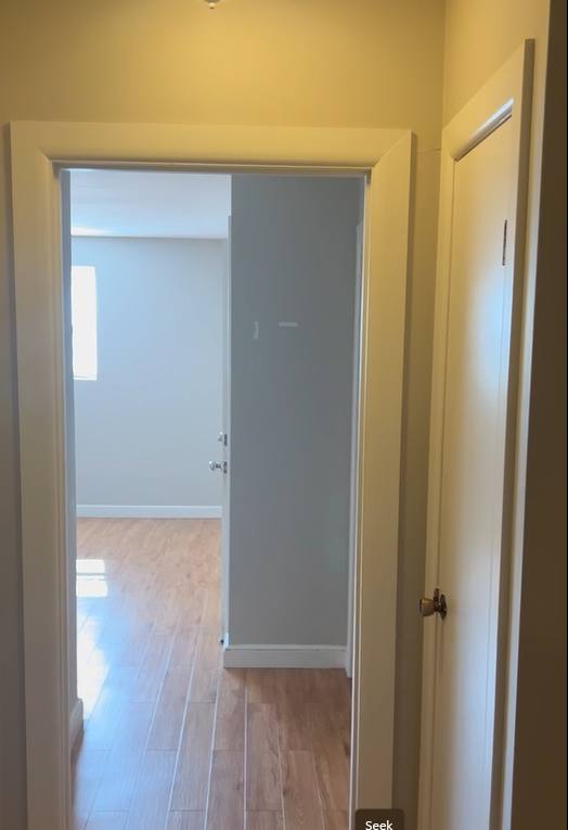 651 Washington St #1, Brighton, MA 02135 - Apartment for Rent - Image 4