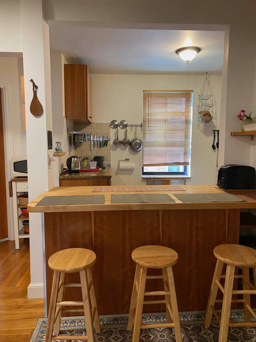 94 Marion St #1, Brookline, MA 02446 - Apartment for Rent - Image 4