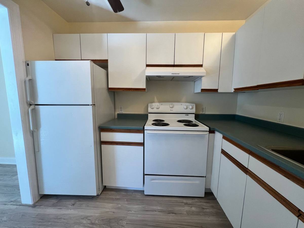 356 E Merrimack St, Lowell, MA 01852 - Apartment for Rent - Image 5