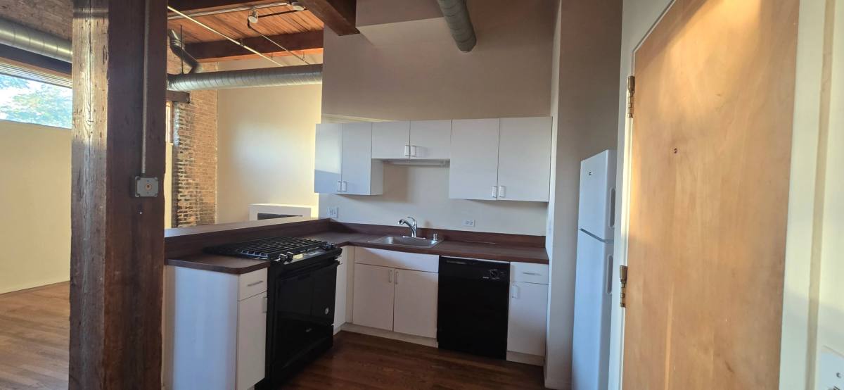 1900 S Clark St #201, Chicago, IL 60616 - Apartment for Rent - Image 8
