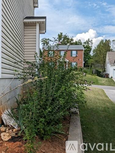 1133 Mortons Meadow Rd, Knoxville, TN 37932 - House for Rent - Image 4