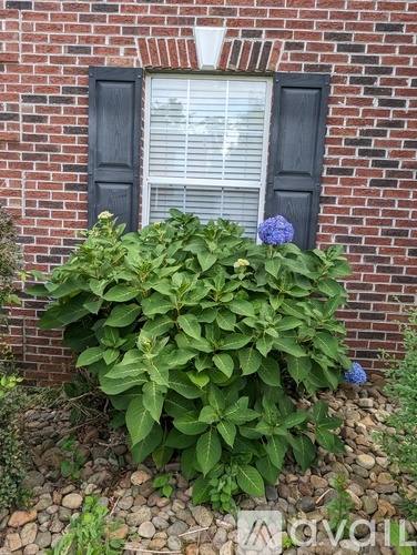 1133 Mortons Meadow Rd, Knoxville, TN 37932 - House for Rent - Image 5