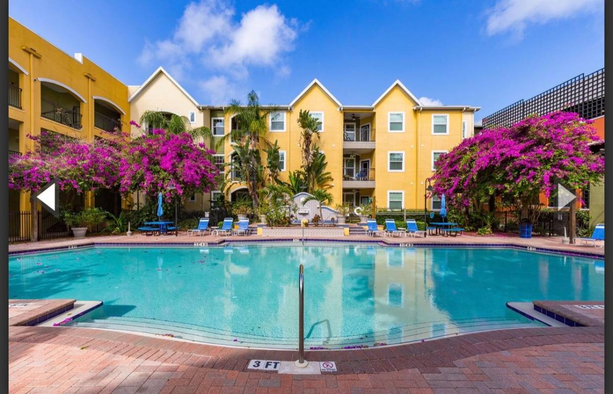1910 E Palm Ave #11220, Tampa, FL 33605 - Apartment for Rent - Image 5